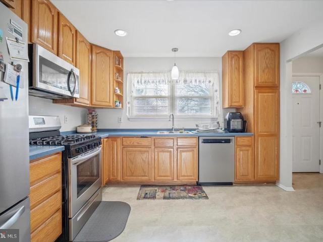 8217 Mountain Laurel Lane
