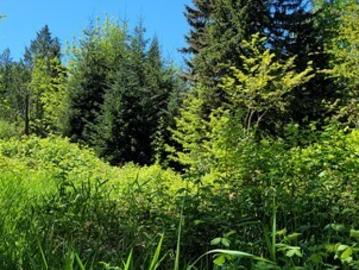 825 99th Ave SE, Lake Stevens, WA 98258 | MLS #2506