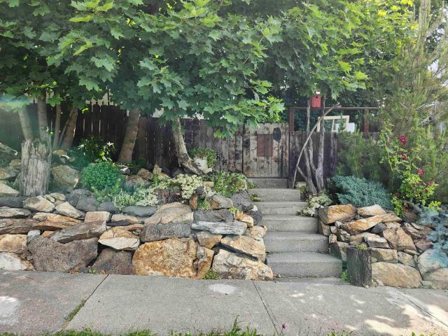 825 Larch Street