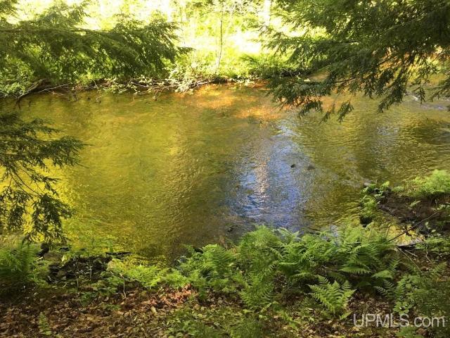 8285 Peter White Road, Deerton, USA, MI