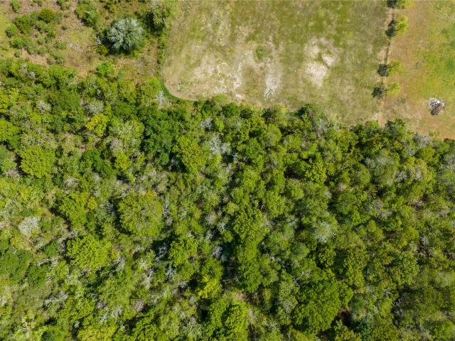 8321 FM 517 Rd E, Dickinson, TX 77539 | MLS #72247