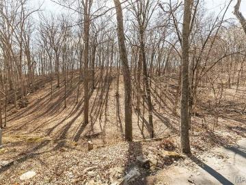 832 Stone Bridge Springs Drive, Wildwood, US, MO