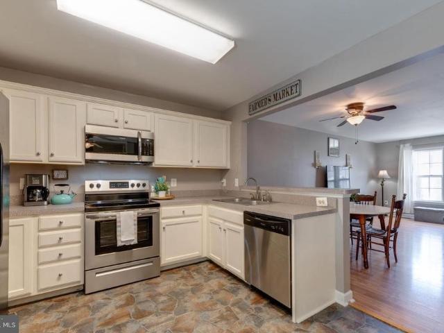 833 gallows ct