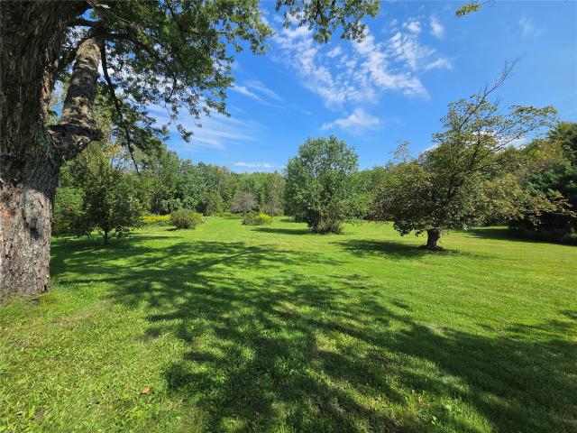 8341 wattsburg road