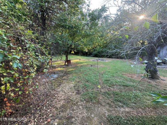 835 Vowell Mountain Lane
