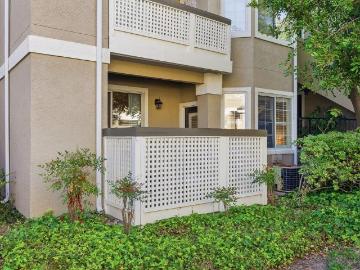 95138, San Jose city, Santa Clara County, California, USA