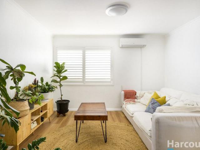 8/38 Lemnos Parade, The Hill, NSW 2300