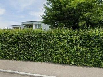 87 m2 apartment for rent in Horgen