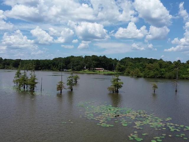 841 Dogwood Trail