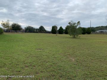 8424 E Zephyr Wing Ct, Floral City, FL