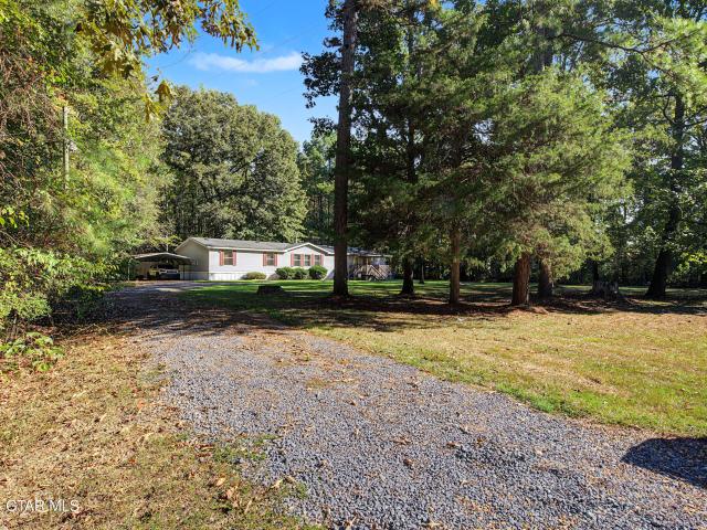 8429 Self Creek