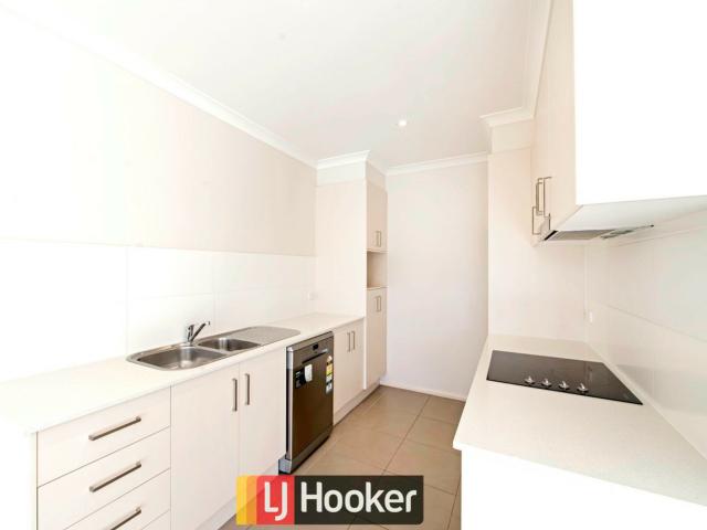8/42 goodwin street lyneham act apartment for rent lj hooker