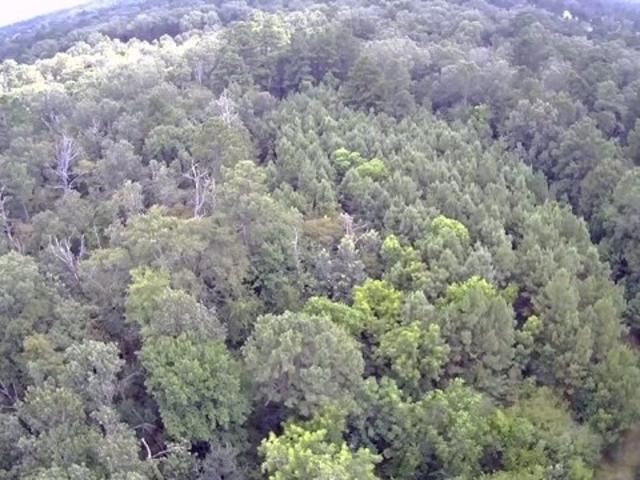 844 Pd Selman Rd, Lufkin, TX 75901 | MLS #37055