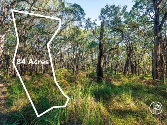 84.5 ACRES OF PRISTINE BUSHLAND