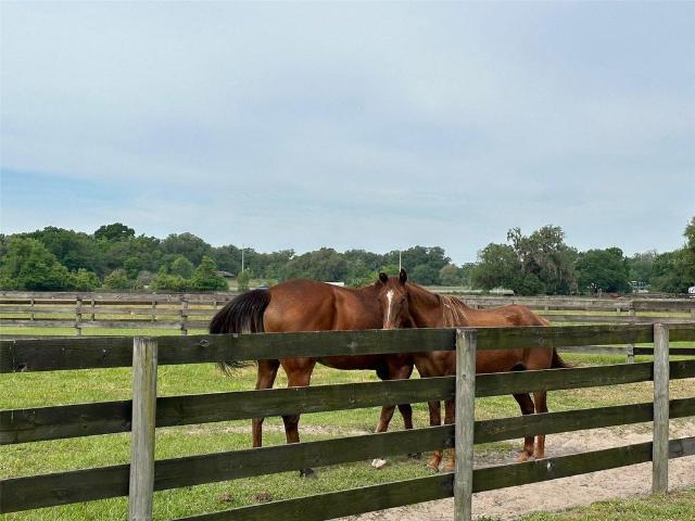 8700 nw 43 court, ocala, us, fl