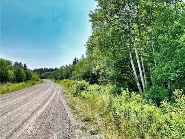 85 173 Harbour Heights Dr, Welshpool, NB, E5E 1Z5 vacant lan.