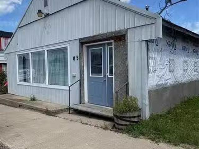 85 1St Street S, Souris, MB, R0K 2C0 commercial for sale Li.
