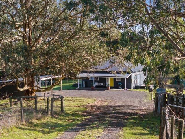 85 Acres of Native Forest & CarbonCredit Income Potential