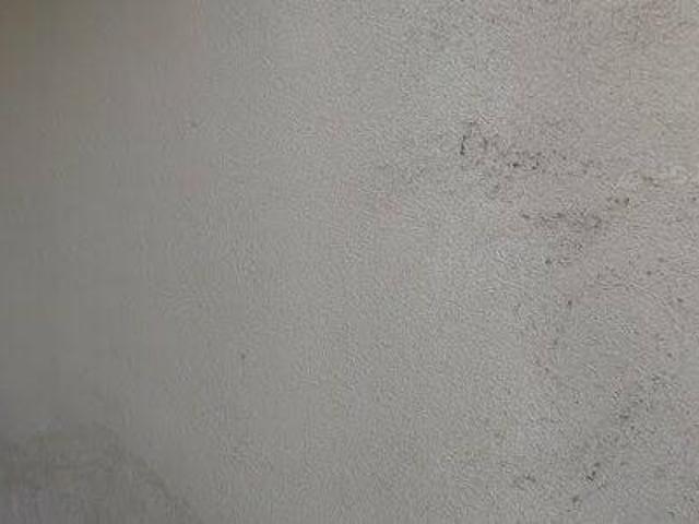85 m2 apartment for rent in Leuven