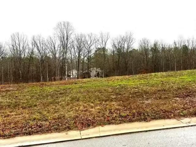 85 OLIVIA LN # 2, WOODSTOCK, AL 35188