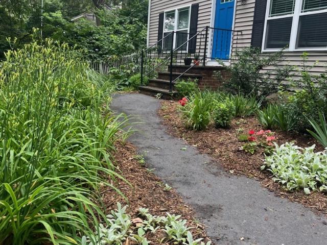 85 Shattock Avenue