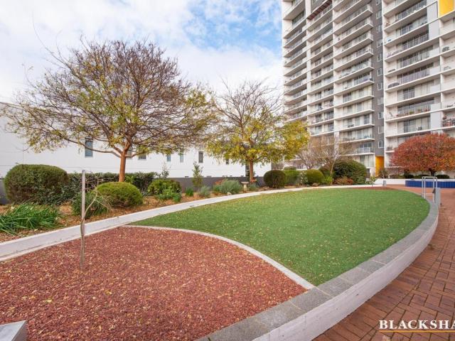 8/60 Callum Street, Phillip ACT 2606 Apartment For Rent | Domain