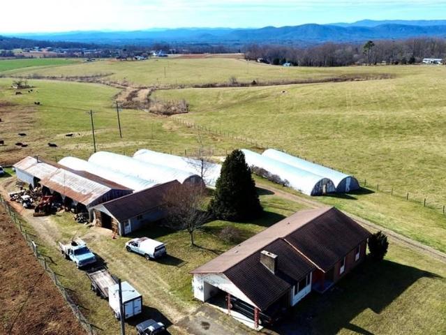 8621 Austin Traphill Rd, Traphill, NC