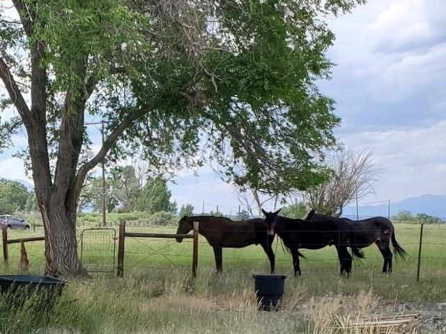 8650 US Highway 285