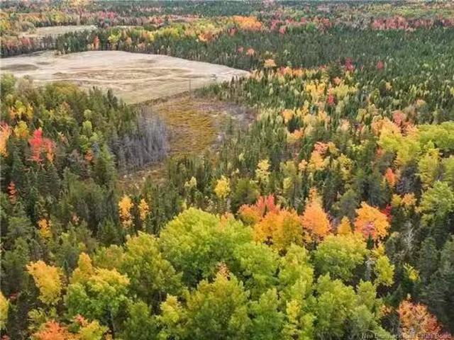 867 Pine Glen Rd, Riverview, NB, E1J 1R7 vacant land for sal.