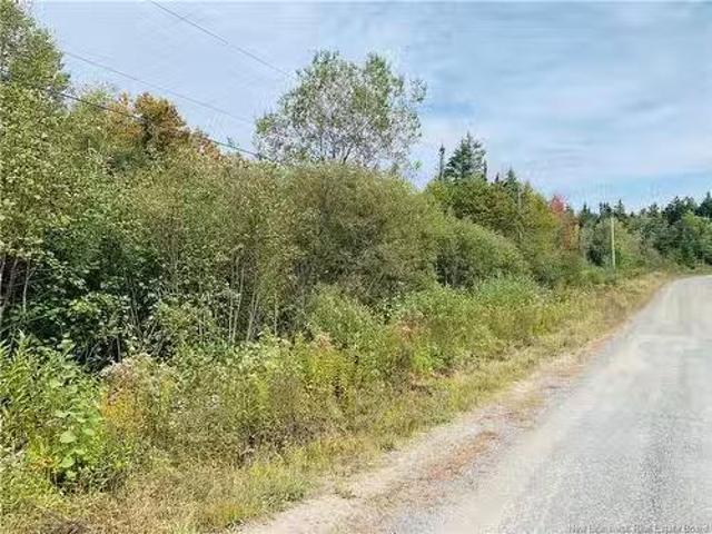 86 42 Hutchins Rd, Welshpool, NB, E5E 1H1 vacant land for sa.