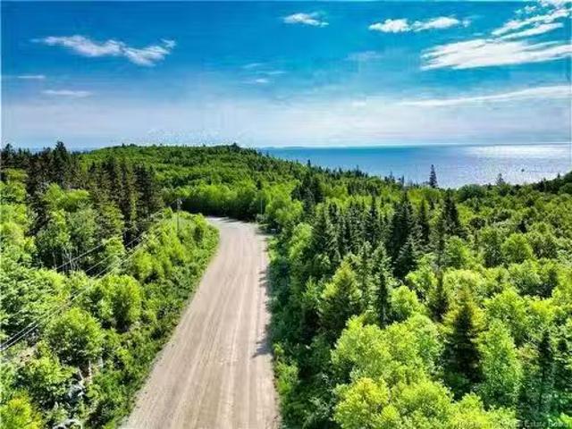 86 112 Fundy Dr, Wilsons Beach, NB, E5E 1X2 vacant land for.