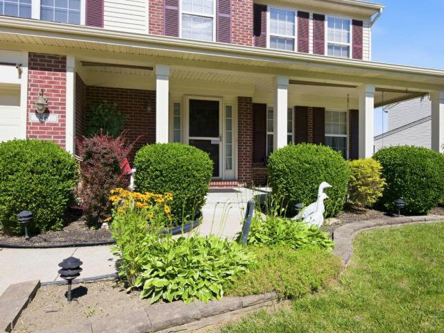86 Fawn Drive