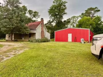 875 COUNTY ROAD 209, JACK, AL 36346