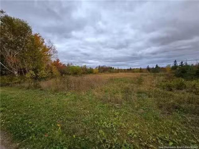 8782Sm Blvd Des Acadiens, Bertrand, NB, E1W 1L9 vacant land.