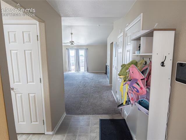 8806 Silver Glen Drive