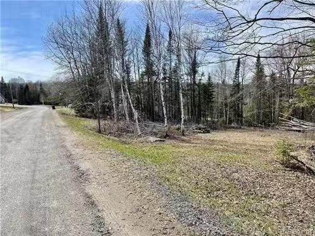 88 72 Willow St, Beardsley, NB, E7M 4G3 vacant land for sale.