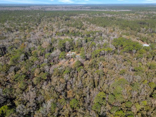 88 Canopy Ln, Crawfordville, FL 32327 | MLS #396978