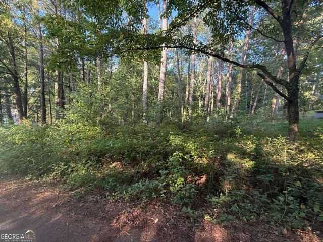 88 Grogan Hill Road SE