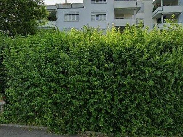 88 m2 apartment for rent in Aarau