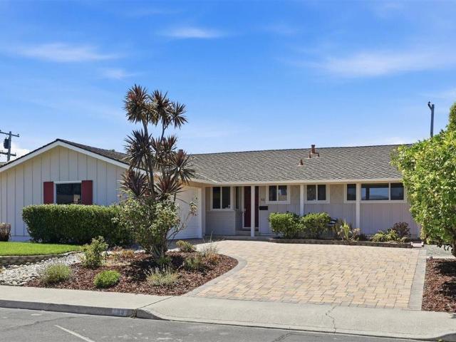 88 Muir Avenue