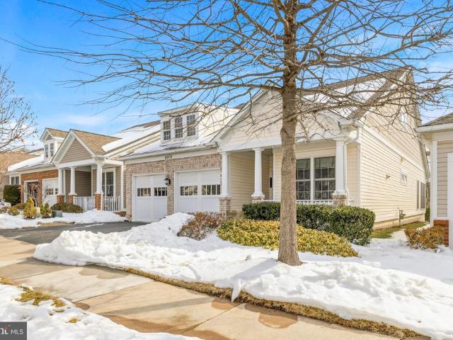 8909 Yellow Daisy Place