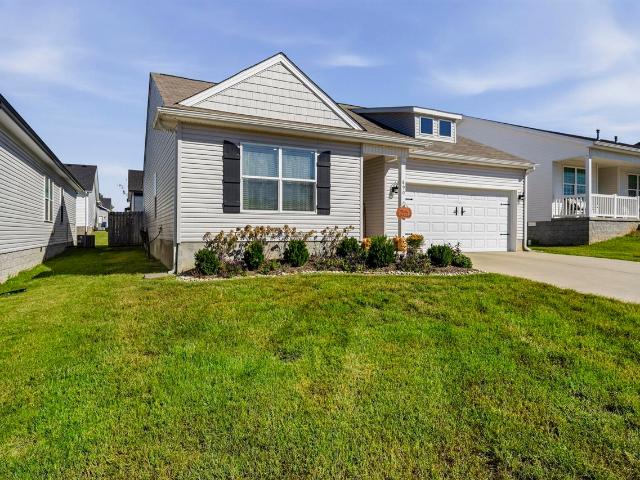 890 McFadin Station Street