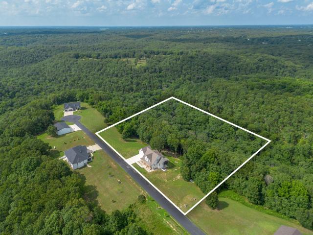 893 Hidden Springs Lane, Reeds Spring, US, MO