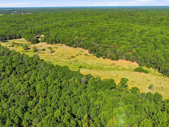 8969 County Road 445