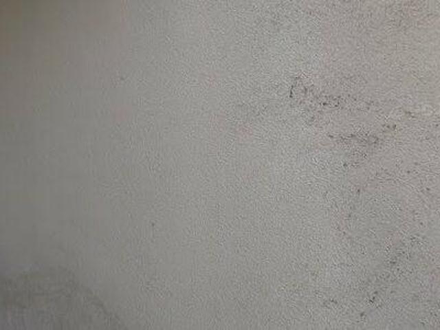 89 m2 apartment for rent in Leuven