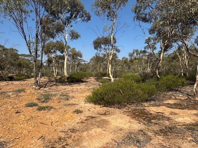 ESCAPE TO THE COUNTRY 8 ACRES APPROX. TO BUILD YOUR DREAM IN WEDDERBURN