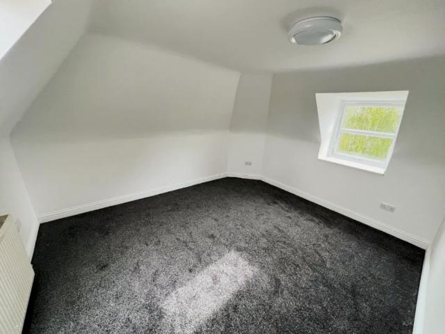 8 Bed, 1 Bath