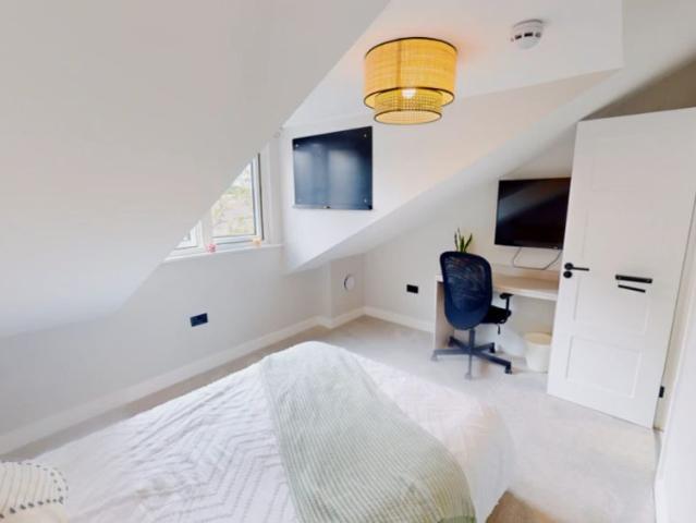 8 Bed, 1 Bath