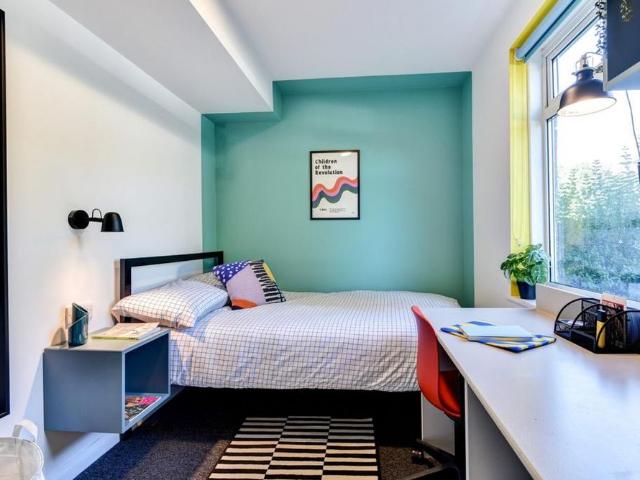 8 bedroom house to rent