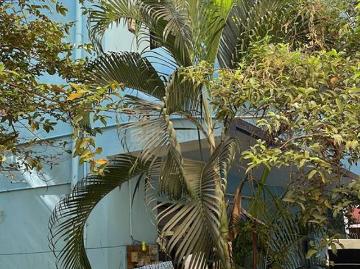 8 BHK Independent House in Aminjikarai for resale Chennai. The reference number is 8900946